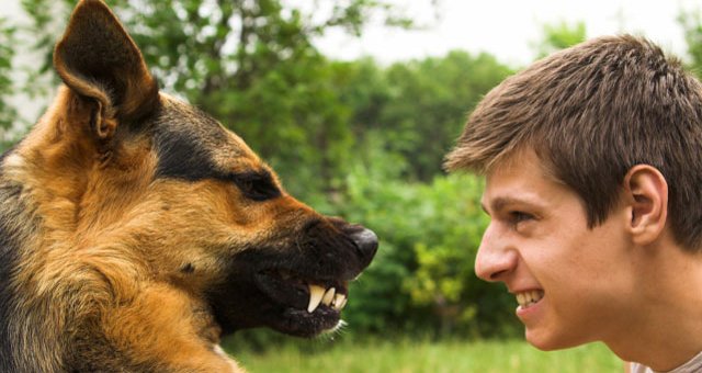 А погодка то сегодня лётная